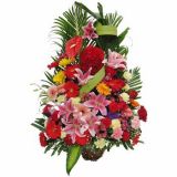 ʲʻٵ