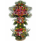 ʲʻٵ